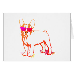 Bulldog Super Frenchie