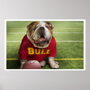 Bulldog Tiempo de Fútbol Poster de impresión de ar