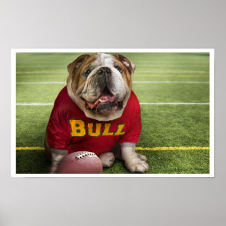 Bulldog Tiempo de Fútbol Poster de impresión de ar