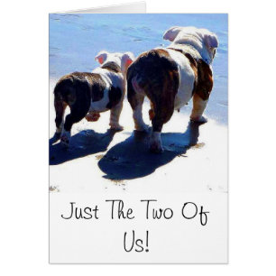 Bulldog y perrito ingleses