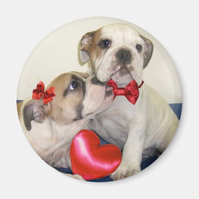 Bulldoges de amor alrededor del imán (Frente)