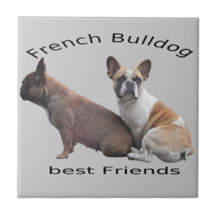 Bulldoges franceses baldosa