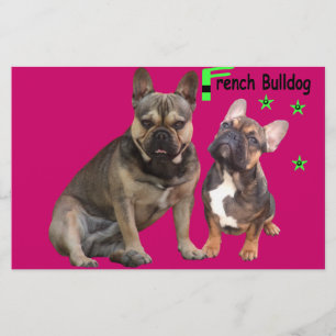 Bulldoges franceses papeles de cartas