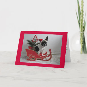 Bulldoges franceses tarjeta de navidad