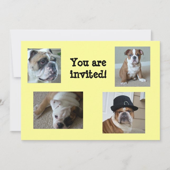 Bulldoges ingleses invitaciones cumpleaños/cualqui (Anverso)