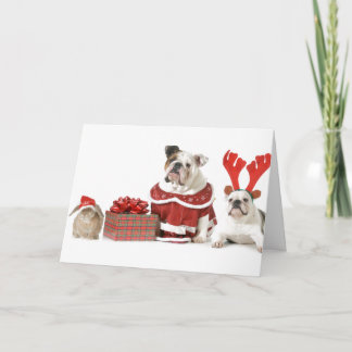 BULLDOGS CON TARJETA DE NAVIDAD DE CONEJO