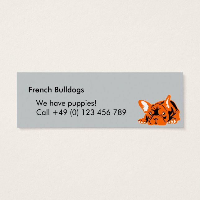 Bulldogs franceses (Atrás)