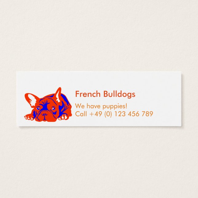 Bulldogs franceses (Atrás)