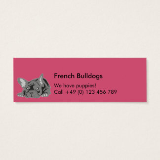 Bulldogs franceses