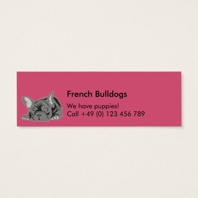 Bulldogs franceses (Atrás)