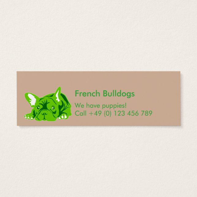 Bulldogs Franceses (Atrás)