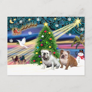 Bulldogs ingleses de la magia de Navidad (dos)