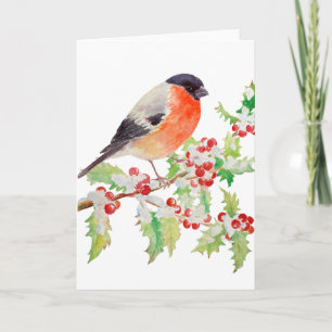 Bullfinch en la sucursal Holly en la tarjeta de sa