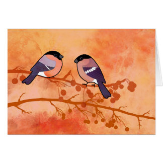 Bullfinch (pyrrhula del Pyrrhula)