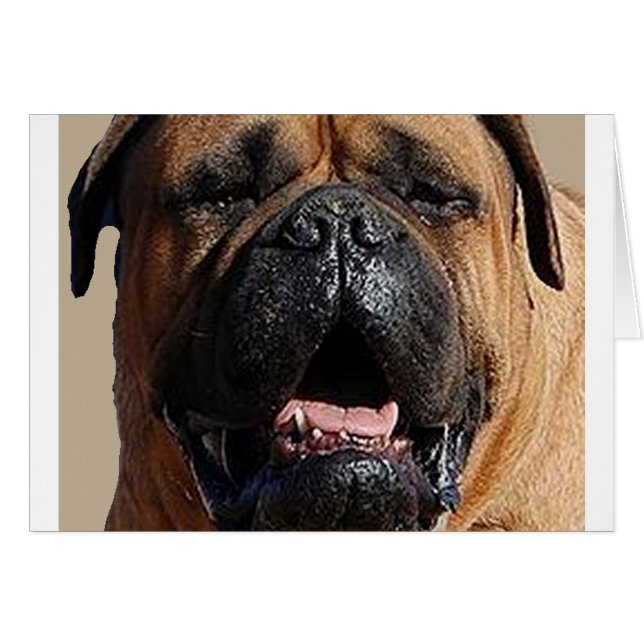 bullmastiff.png (Anverso (Horizontal))