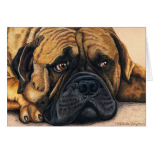 Bullmastiff que espera - arte de la raza del perro