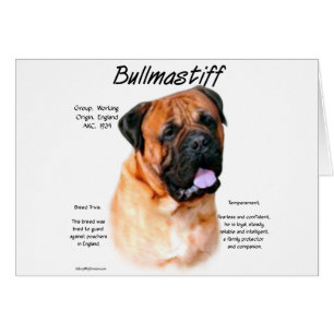 Bullmastiff (rojo) Diseño de historial