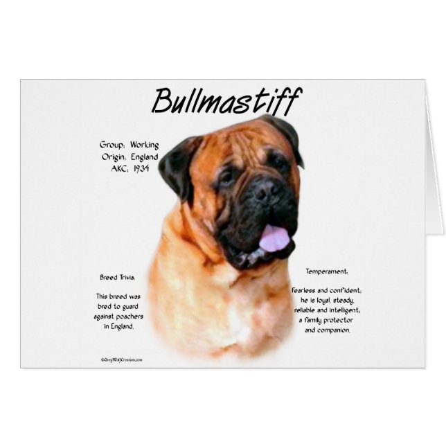 Bullmastiff (rojo) Diseño de historial (Anverso (Horizontal))