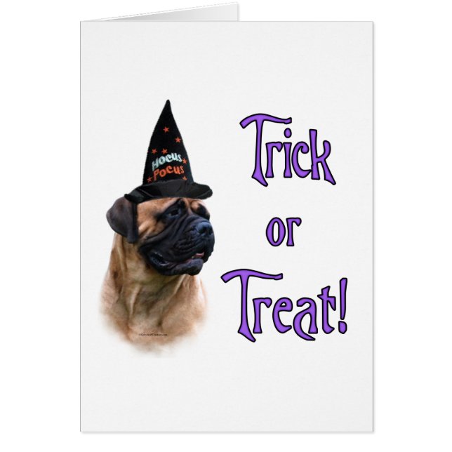 Bullmastiff Trick (Frente)