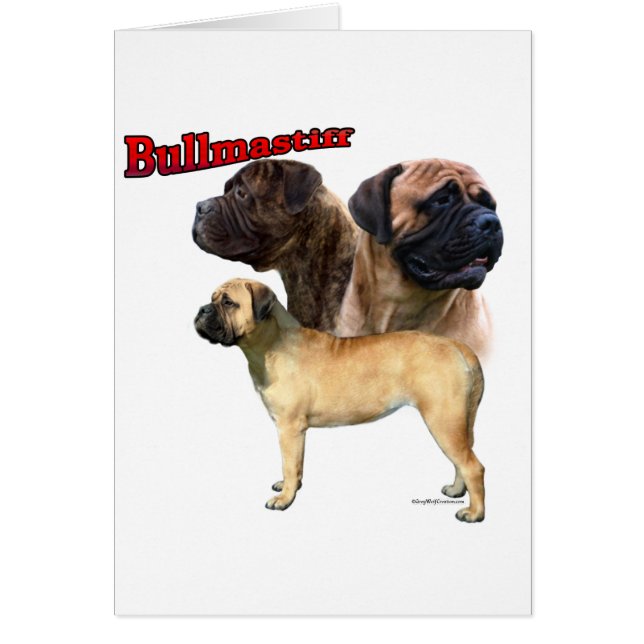 Bullmastiff Trio 2 (Frente)