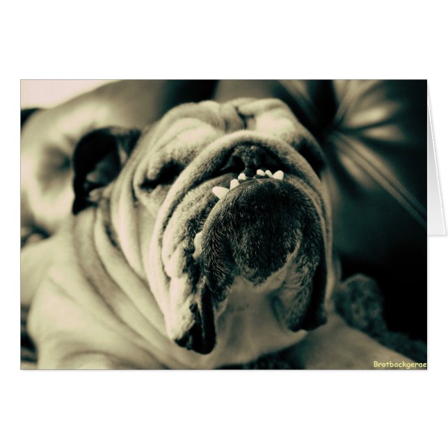 Bully Teeth (Anverso (Horizontal))