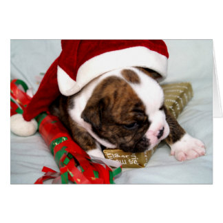 BullyBreeze - Detectar el punto - Tiempo de regalo