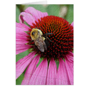Bumble Bee 2