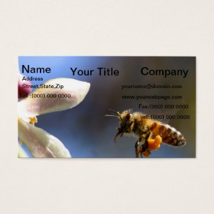 Bumble Bee cubierto de polen por polinización
