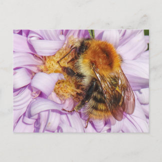 Bumble Bee en una postal de la fiesta de Michaelma