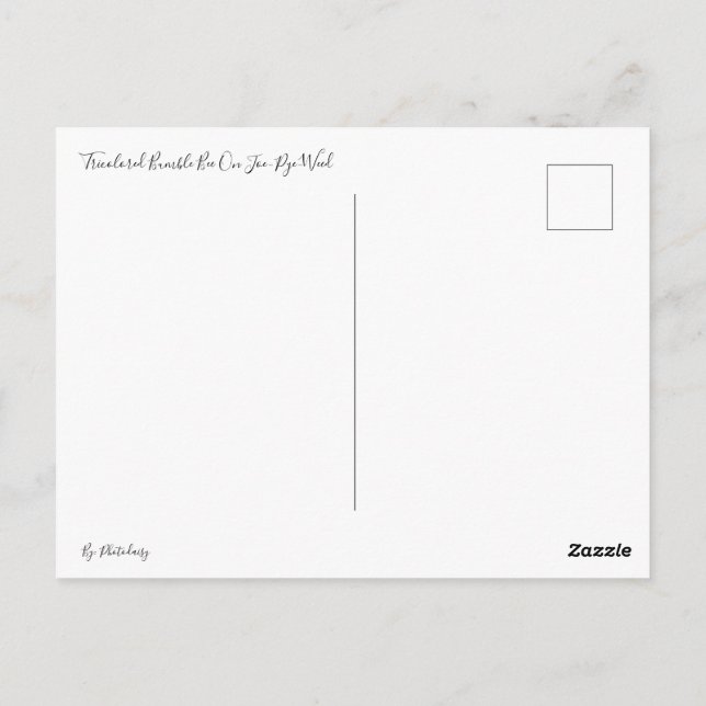 Bumble de tres colores en postal Joe-Pye-Weed (Reverso)