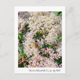 Bumble de tres colores en postal Joe-Pye-Weed