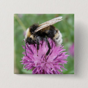 Bumbleabe en un botón de silbido