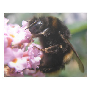 Bumblebee ocupado y Bloc de notas de flores rosada