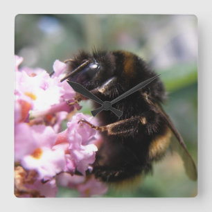 Bumblebee ocupado y reloj de pared de flores rosad