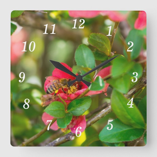 Bumblebee y el reloj de pared Azalea (Anverso)
