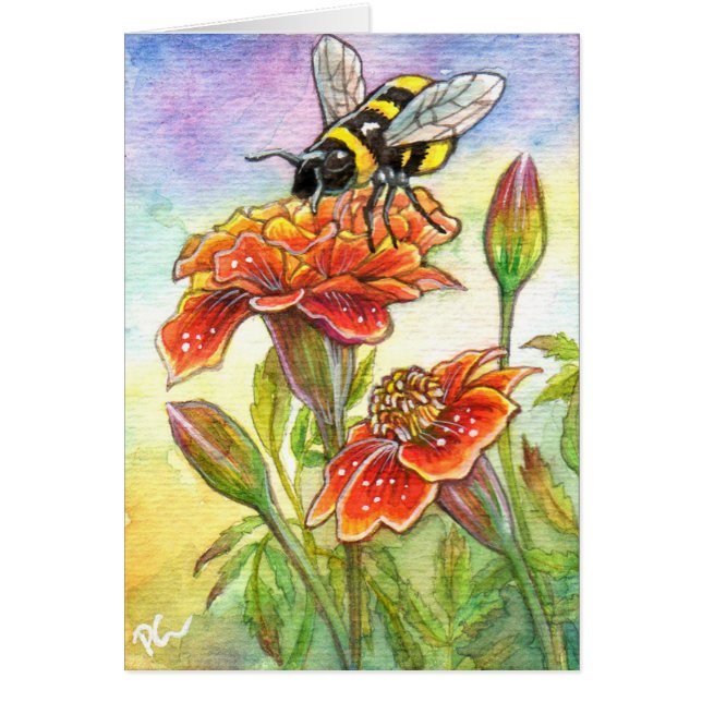 Bumblebee Y Marigold (Frente)