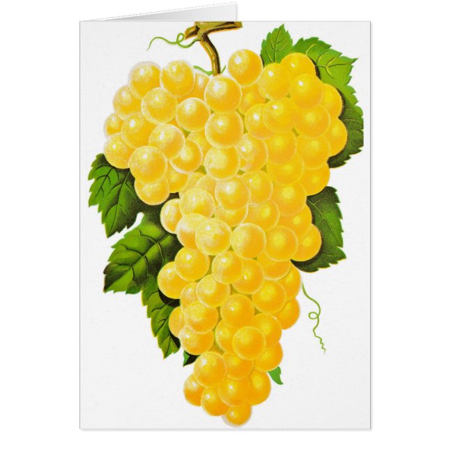 Bunch of Grapes (Frente)