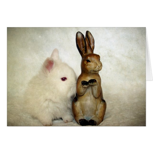 Bunnies (Anverso (Horizontal))