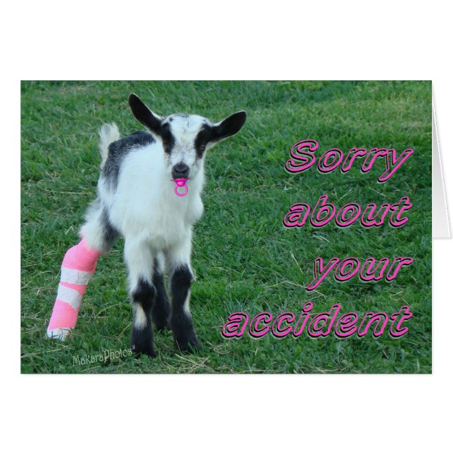 Bunny1375-customize (Anverso (Horizontal))