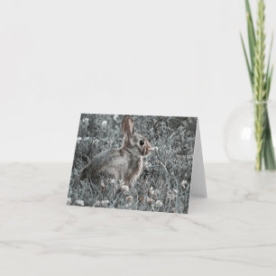 Bunny and Clover - Tarjeta de saludo en blanco