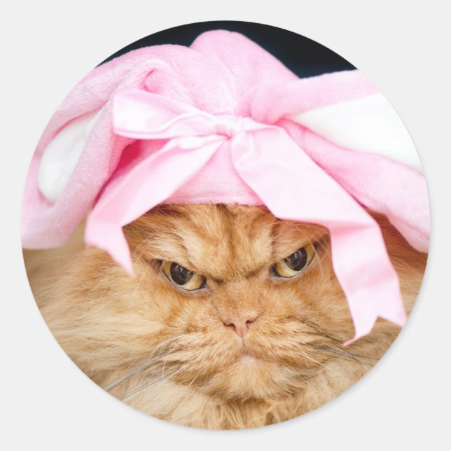 Bunny Cat Easter Classic Round Pegatina (Anverso)