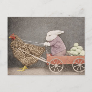 Bunny con su postal de carrito de pollo