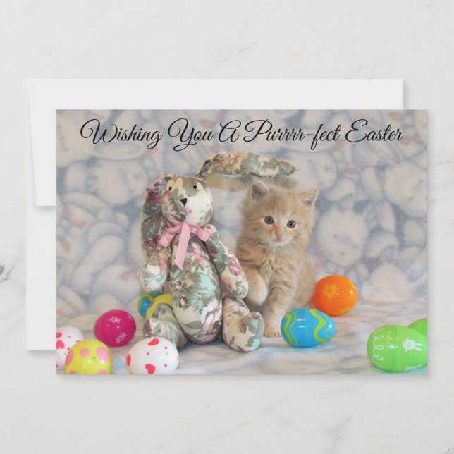 Bunny de Pascua de Buffington - Cat - Tarjeta plan (Anverso)
