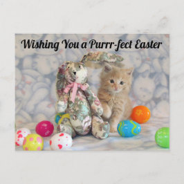 Bunny de Pascua de Buffington - Postales para gato