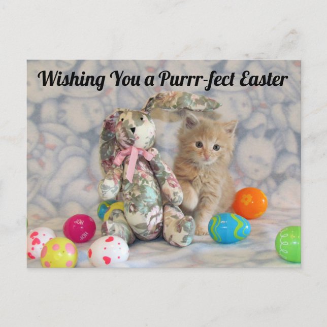 Bunny de Pascua de Buffington - Postales para gato (Anverso)