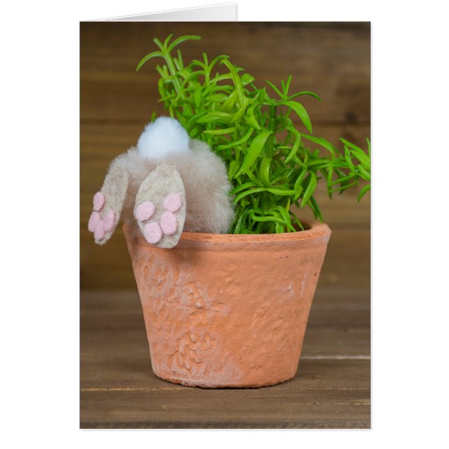 Bunny in Flower Pot (Frente)
