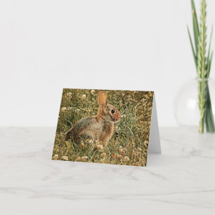 Bunny marrón - Tarjeta de saludo en blanco