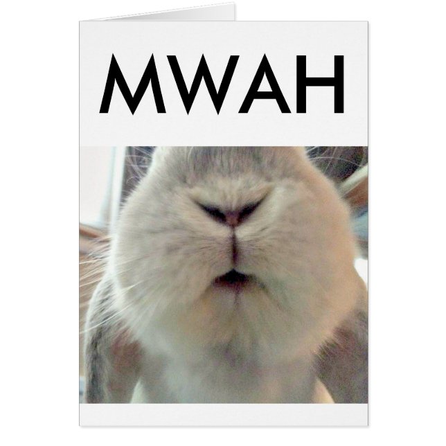 Bunny Smooches (Frente)