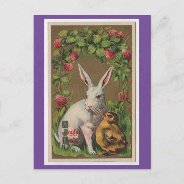 Bunny vintage con postal de pollo (Anverso)