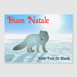 Buon Natale - Fox ártica